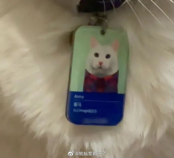 Word文档图片