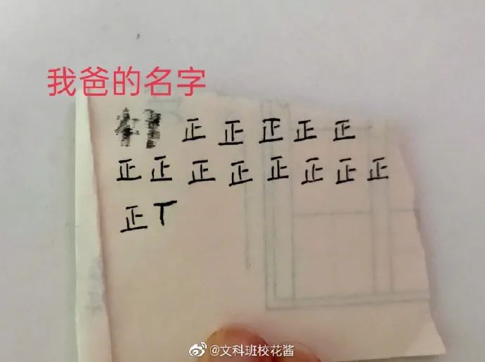 Word文档图片