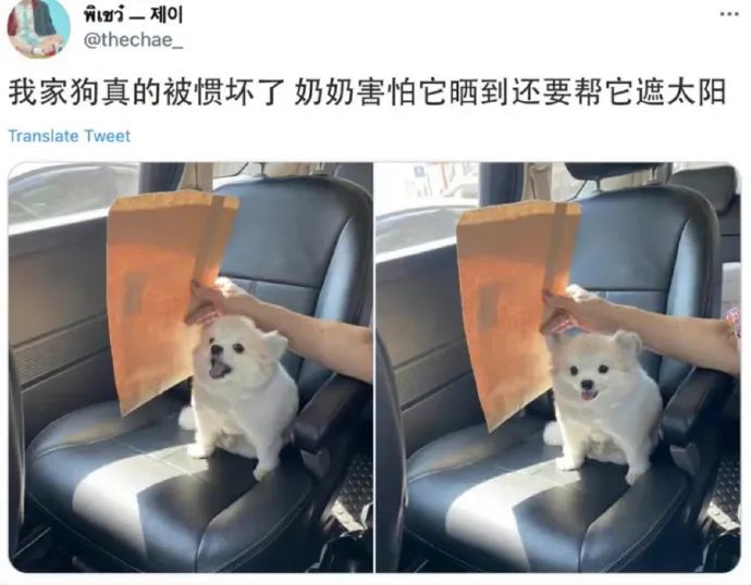 Word文档图片