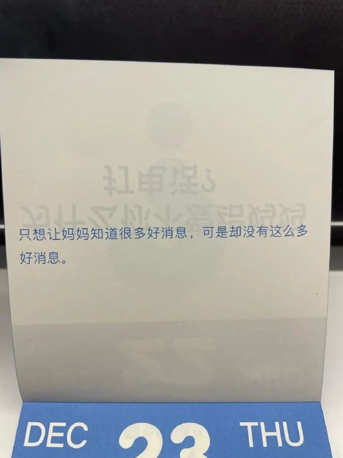 Word文档图片