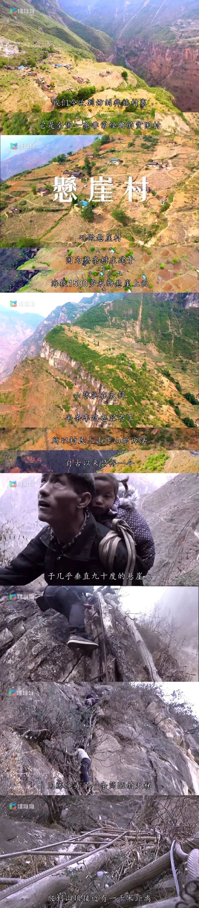 Word文档图片