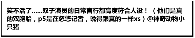 HP双子不愧是整活达人，笑得我直接放韦斯莱烟花！