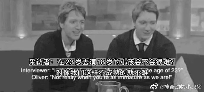 Word文档图片