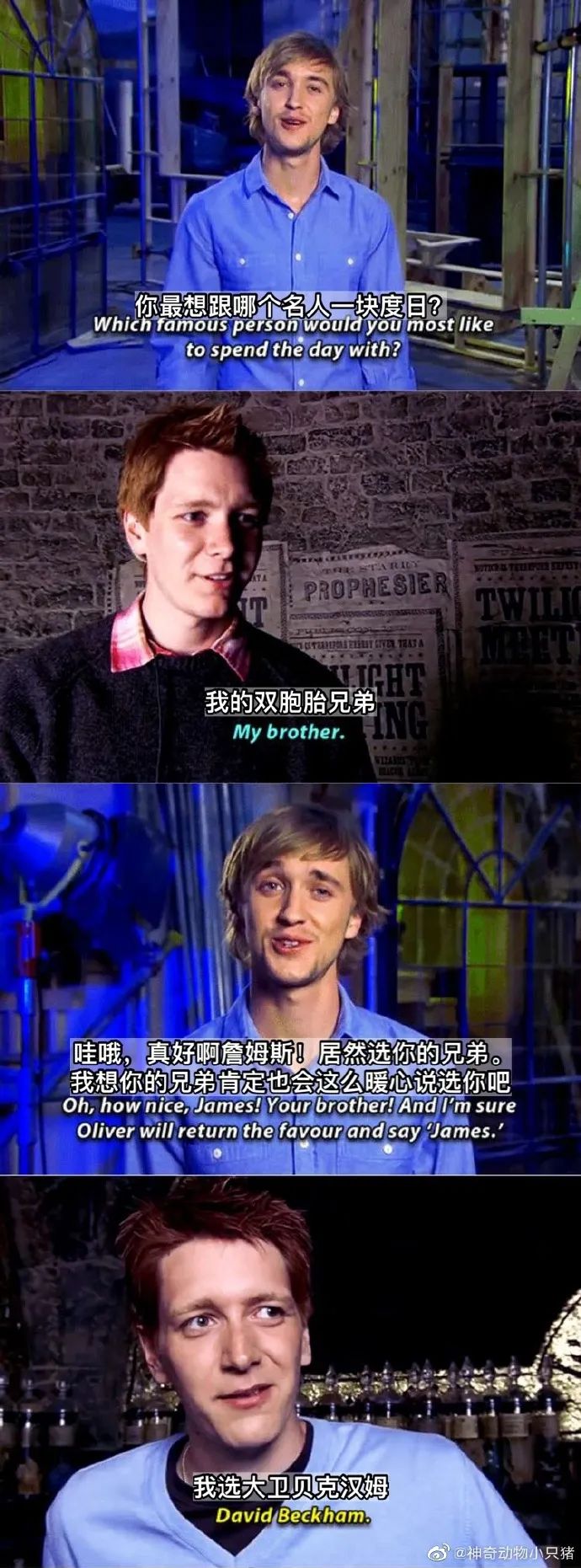 Word文档图片