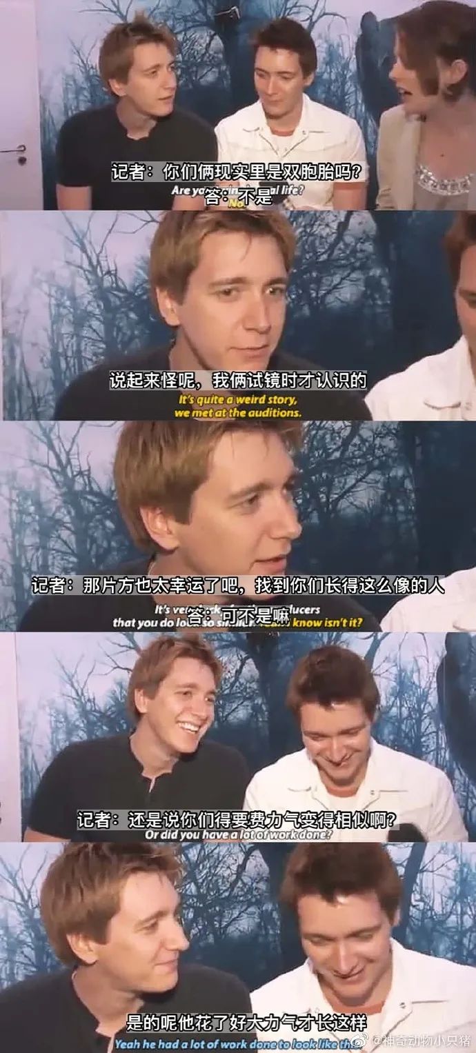 Word文档图片