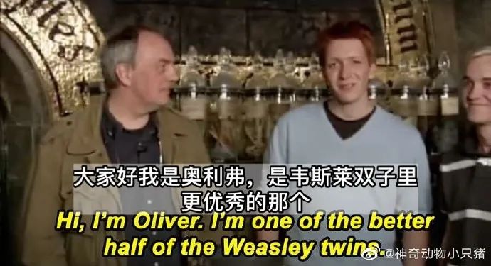 Word文档图片