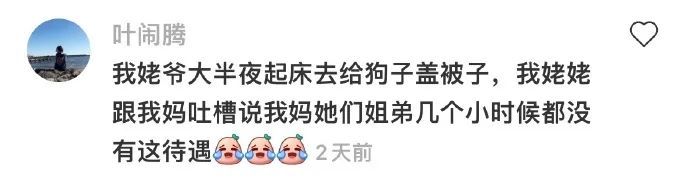 Word文档图片
