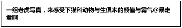 Word文档图片