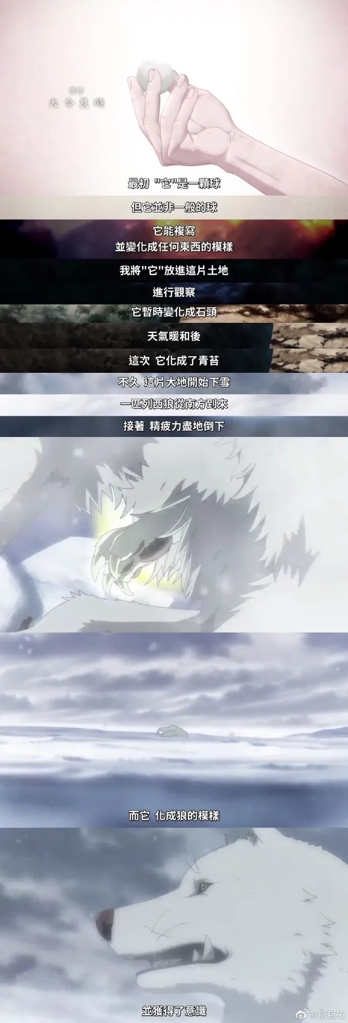 Word文档图片