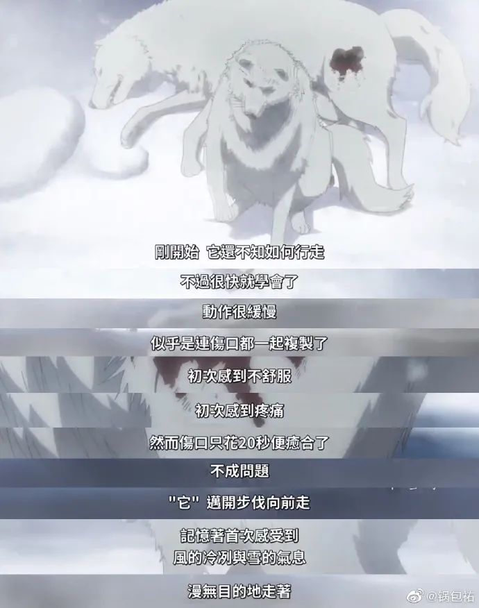 Word文档图片