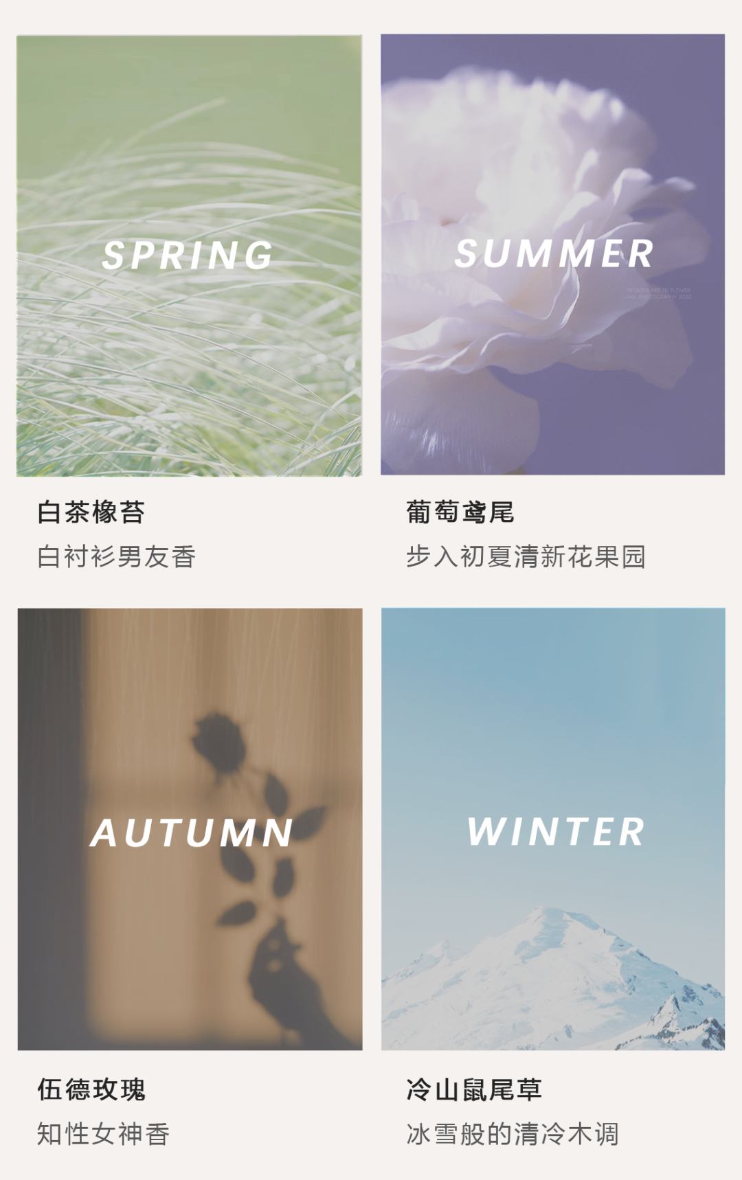 Word文档图片