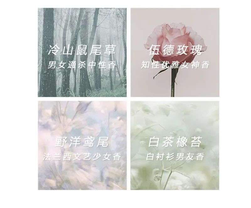 Word文档图片