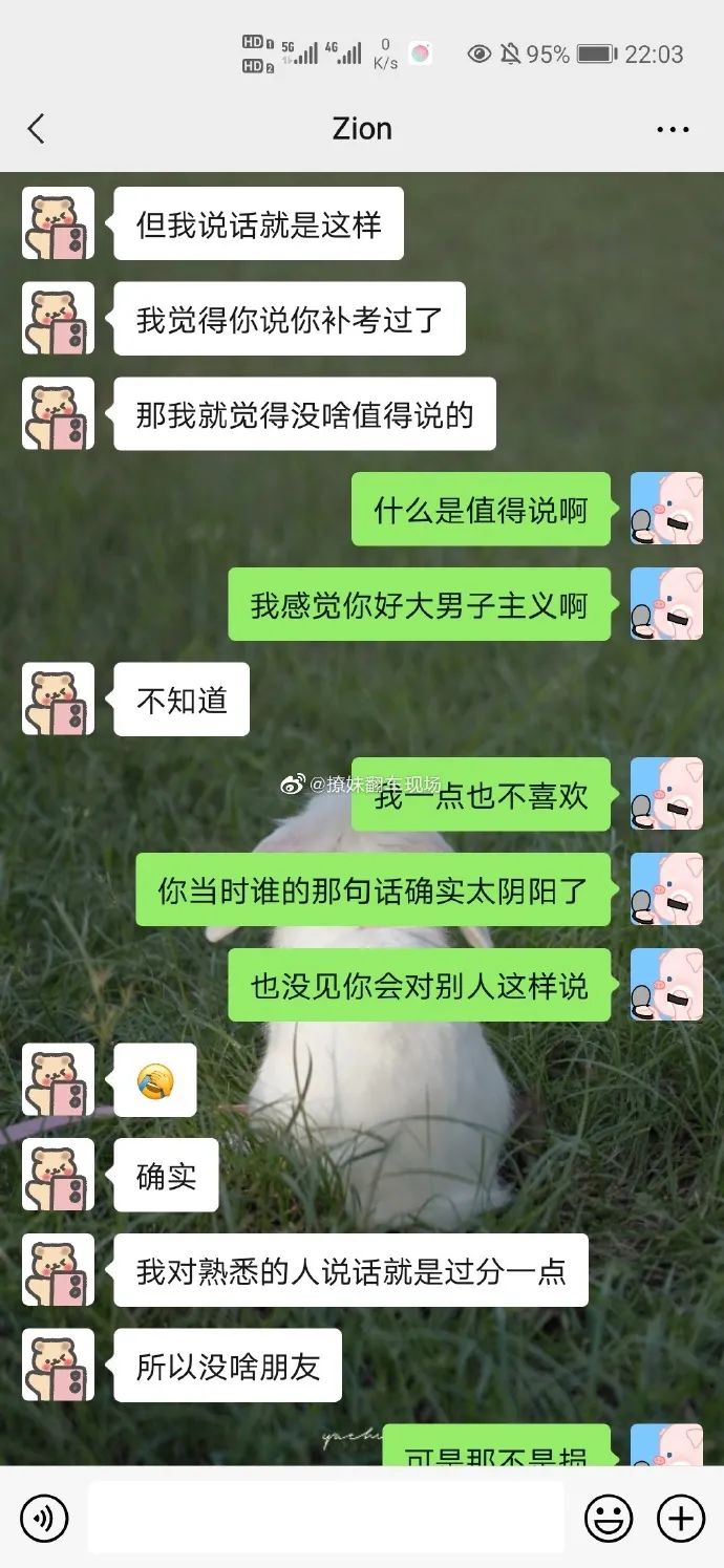 Word文档图片