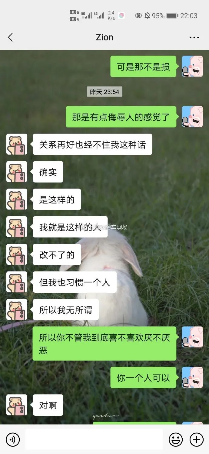 Word文档图片