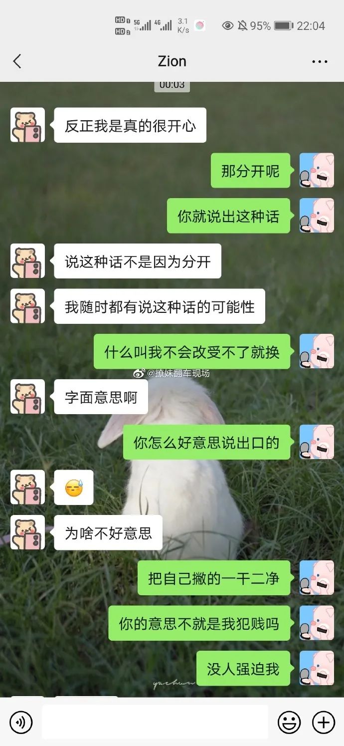 Word文档图片