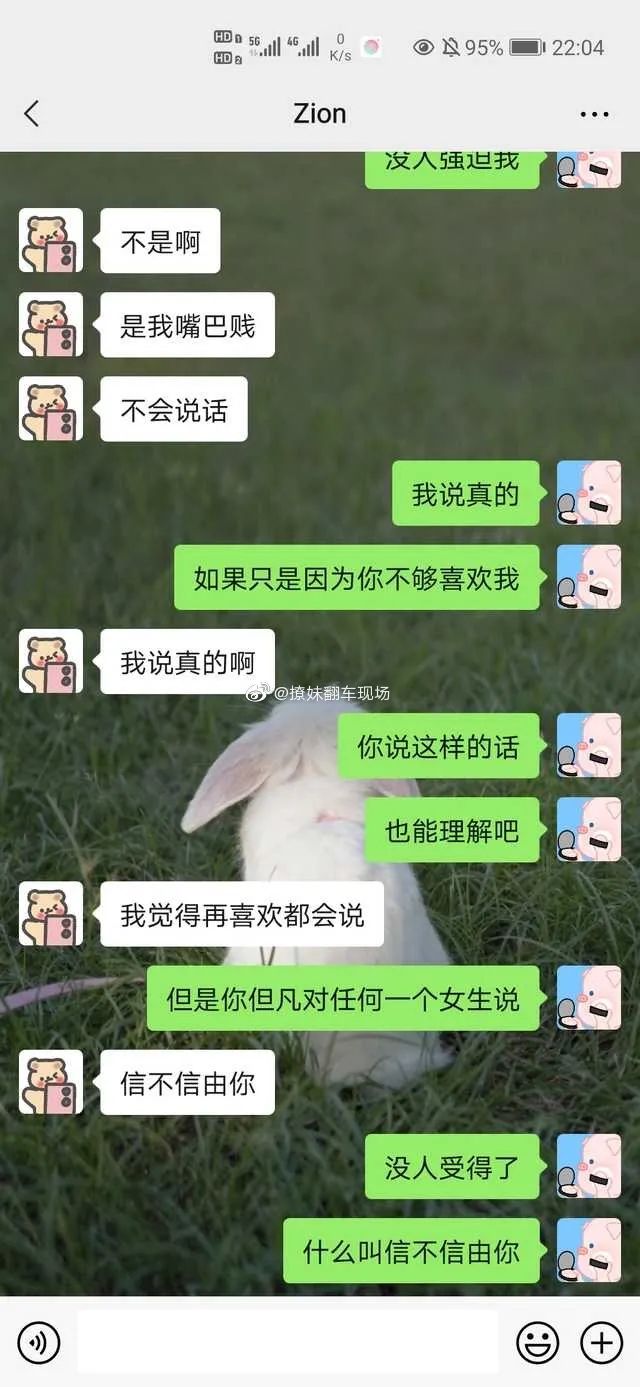 Word文档图片