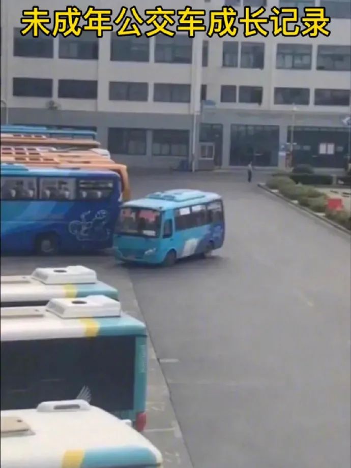 Word文档图片