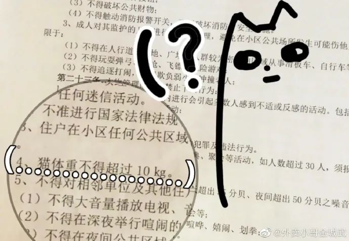 Word文档图片
