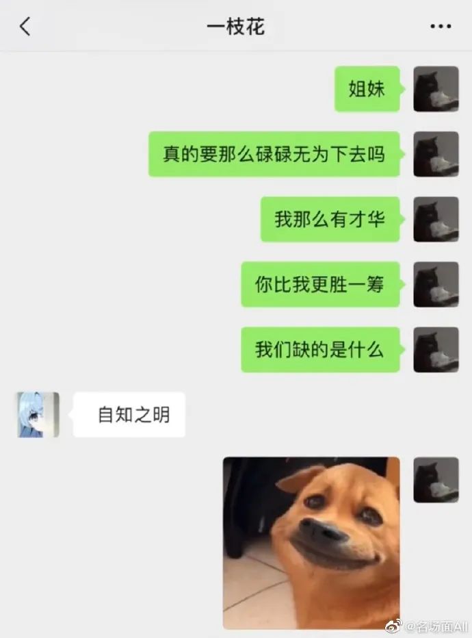 Word文档图片
