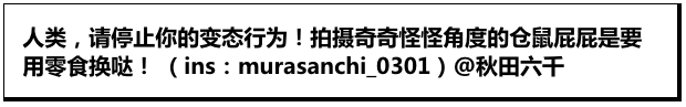 Word文档图片