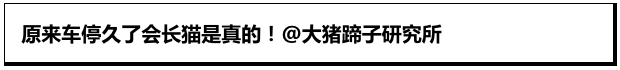 Word文档图片