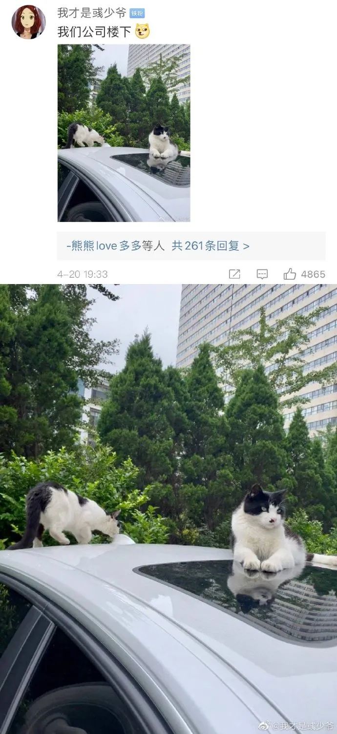 Word文档图片