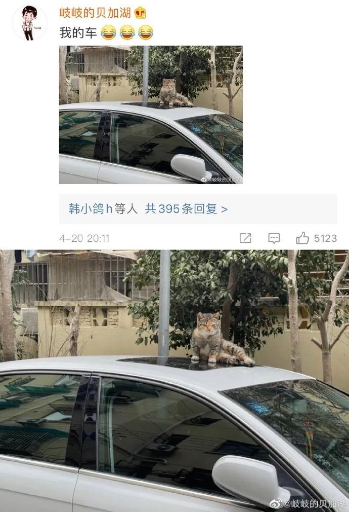 Word文档图片