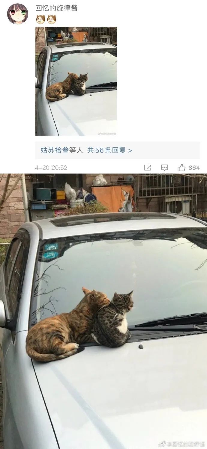 Word文档图片