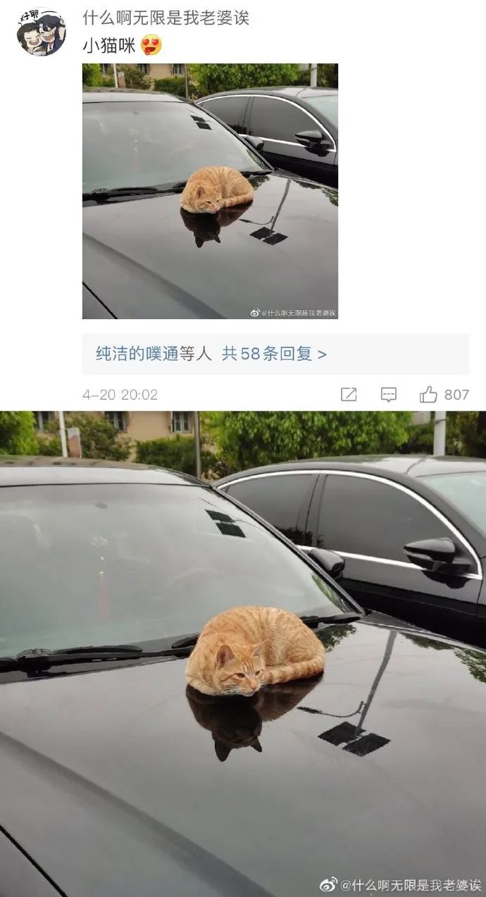 Word文档图片
