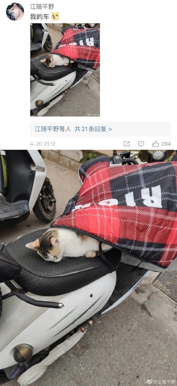 Word文档图片