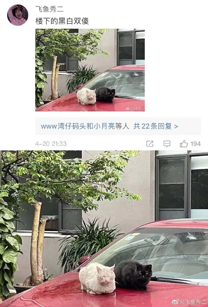 Word文档图片