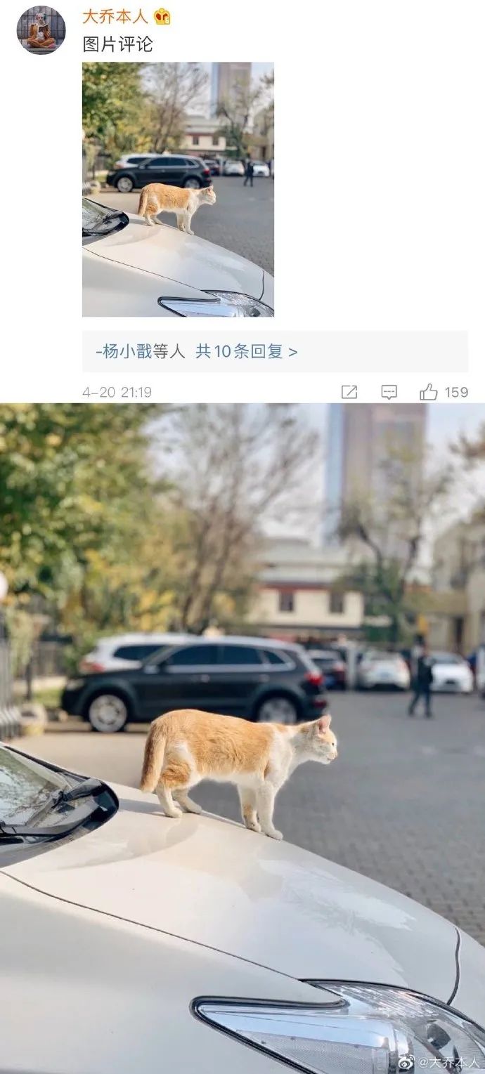 Word文档图片