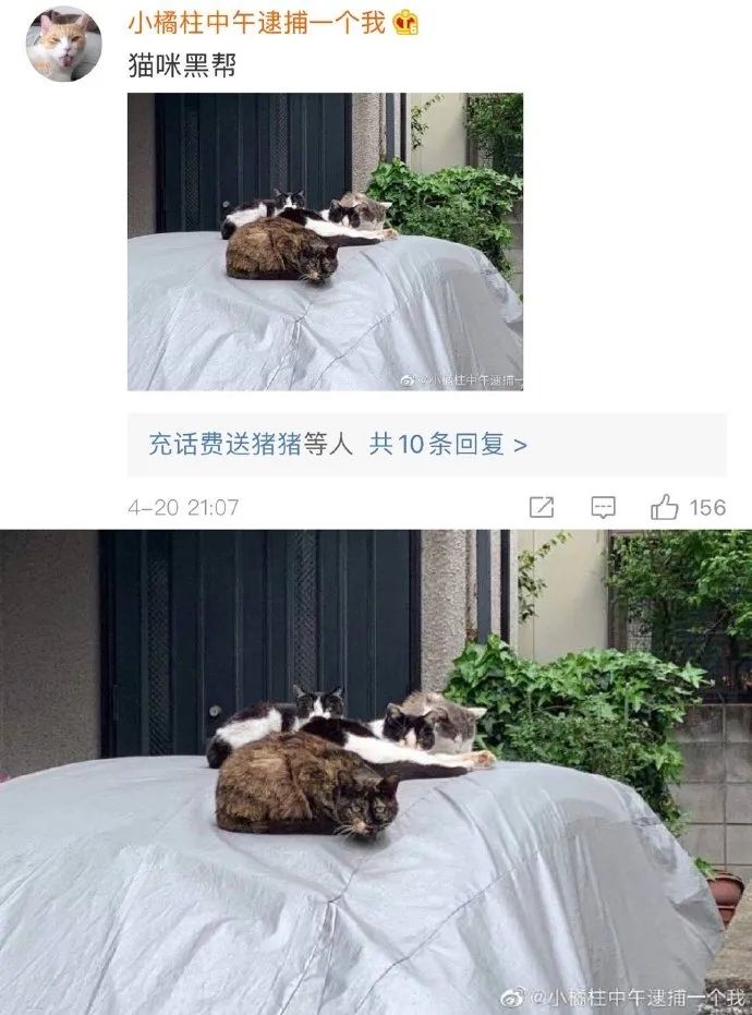 Word文档图片