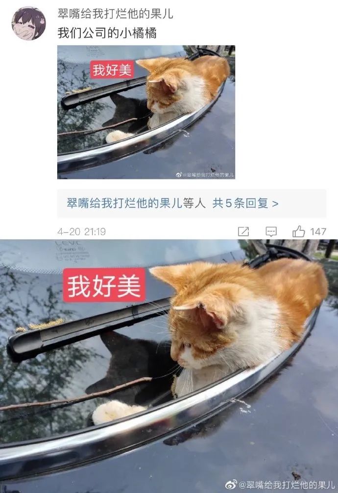Word文档图片