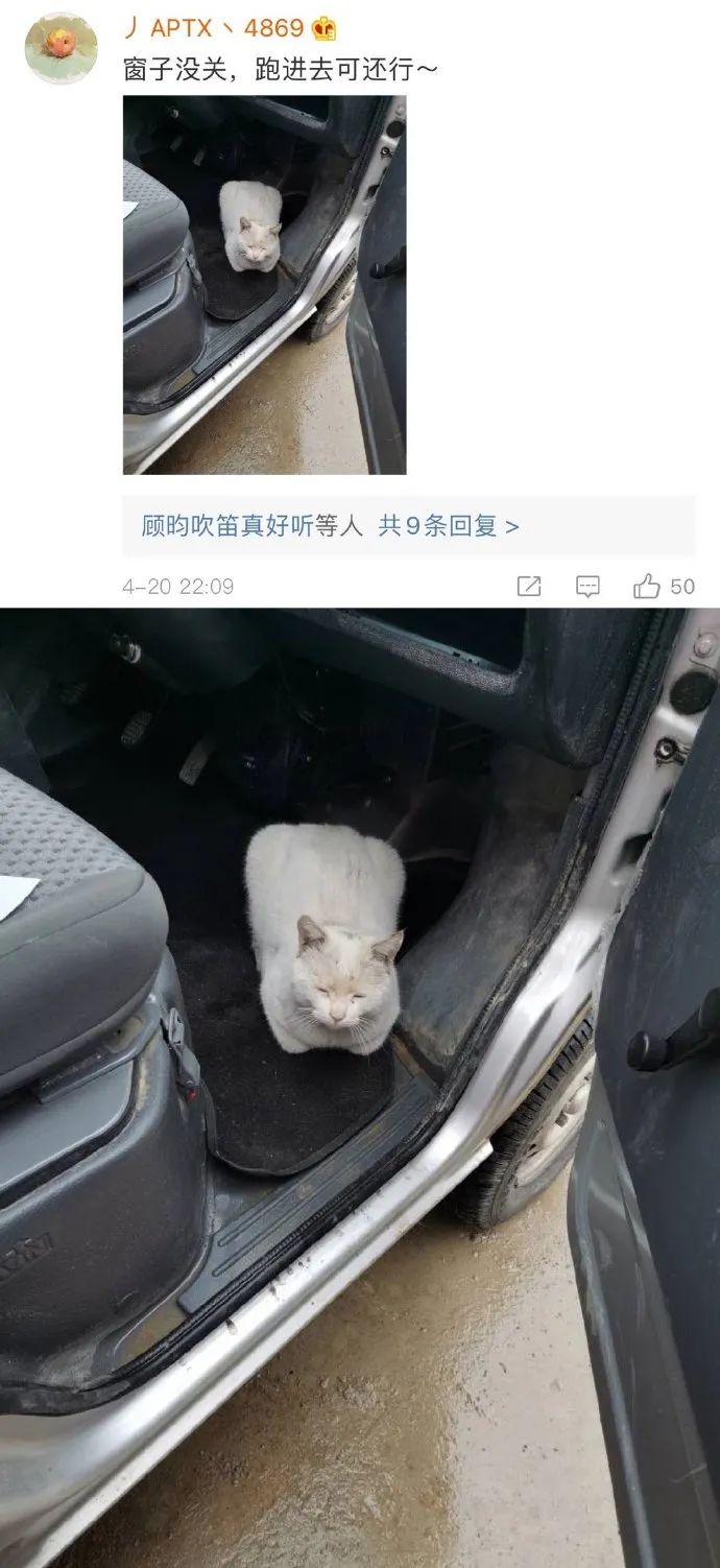 Word文档图片