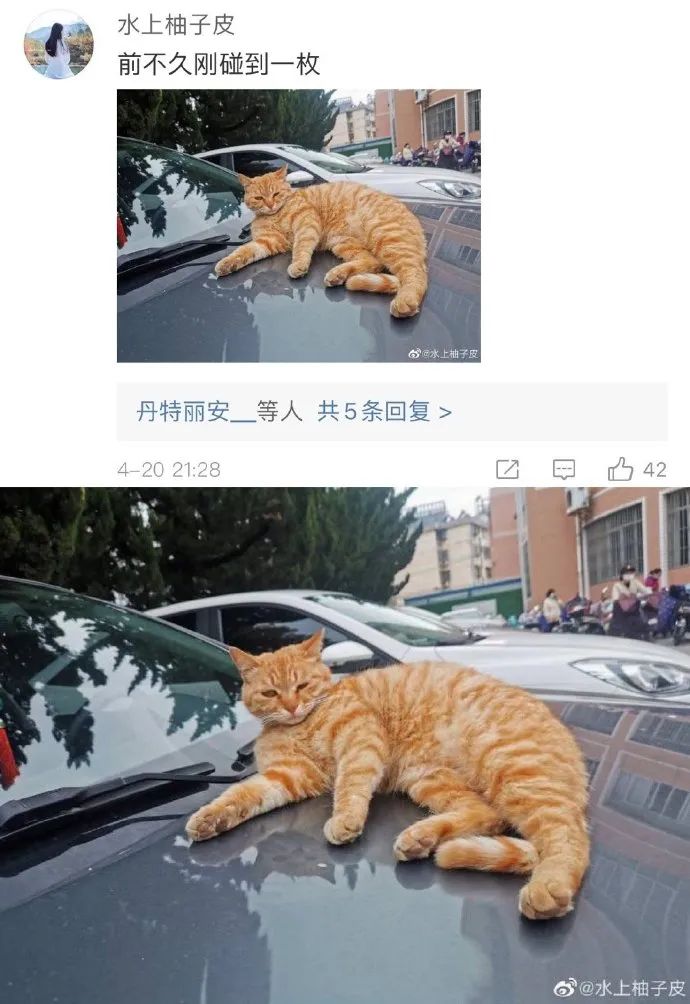 Word文档图片