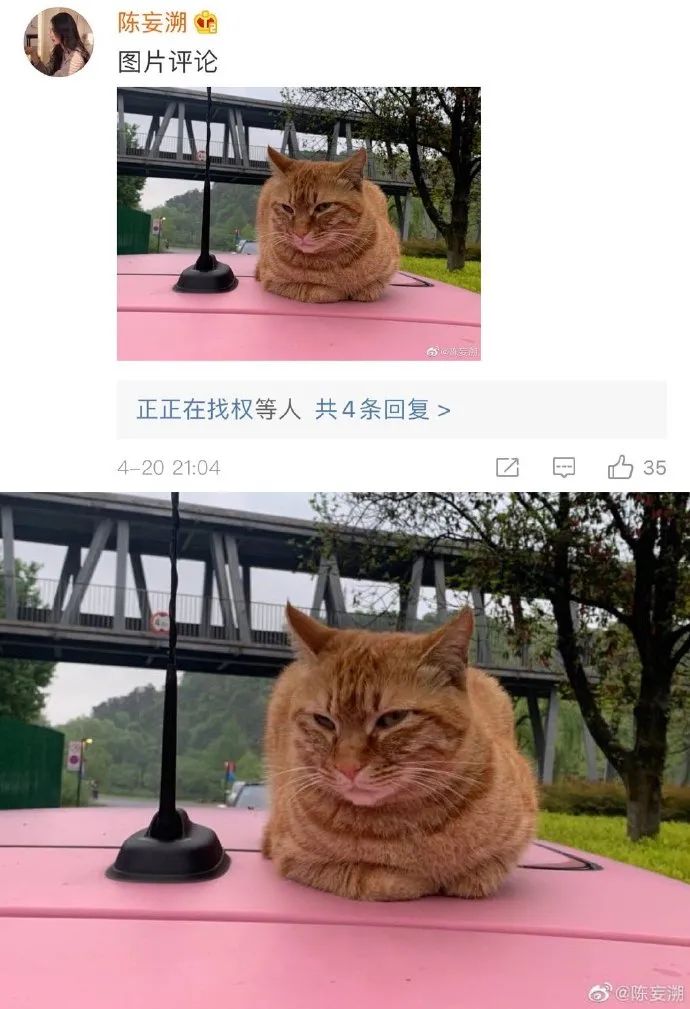 Word文档图片