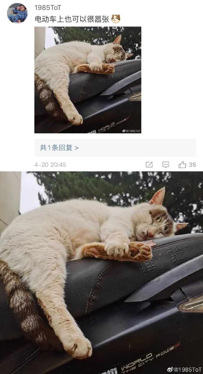 Word文档图片