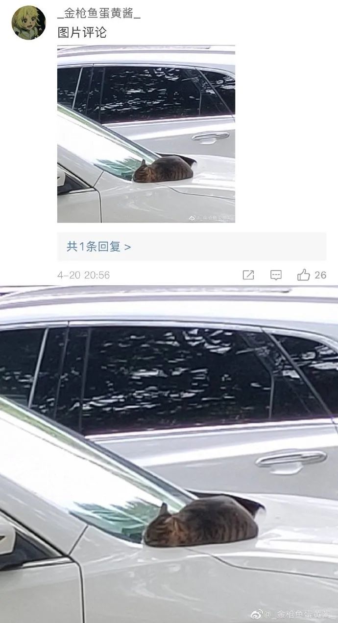 Word文档图片