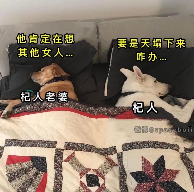 Word文档图片