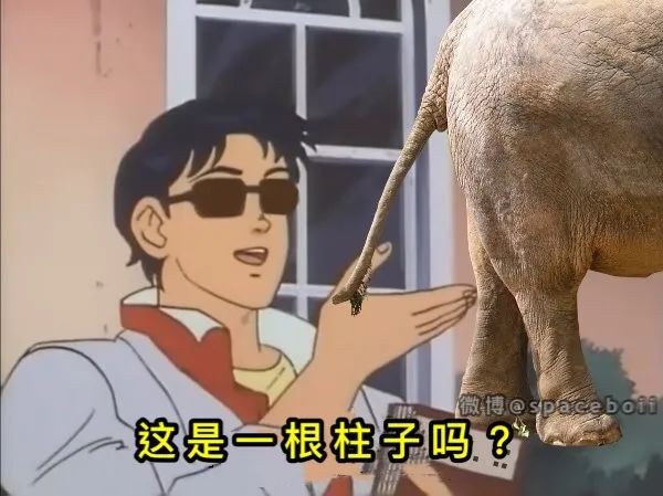 Word文档图片