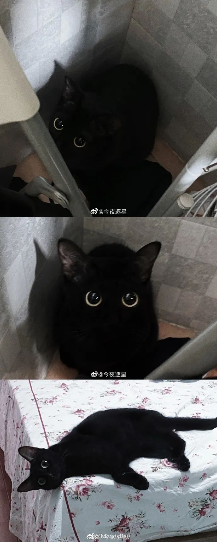 Word文档图片