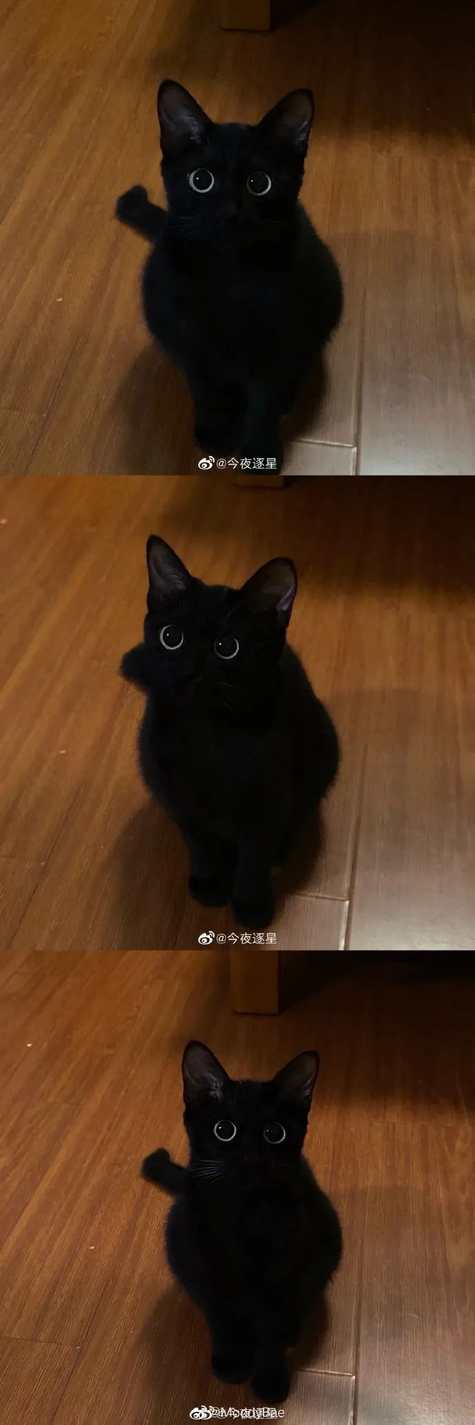 Word文档图片
