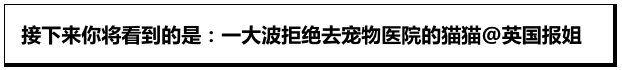 Word文档图片