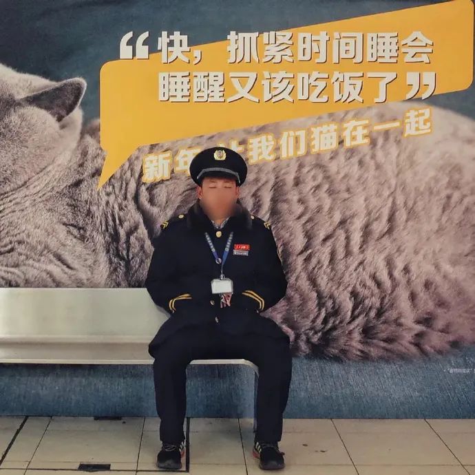 Word文档图片