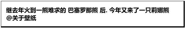 冬天就是要有毛茸茸的玩偶！小熊怎样都超可爱啦！