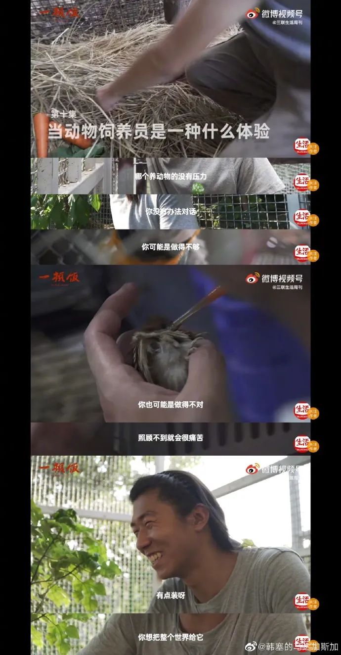 Word文档图片
