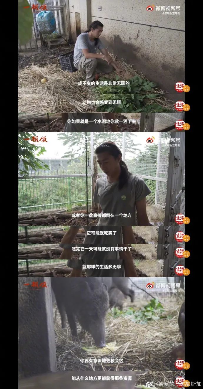 Word文档图片