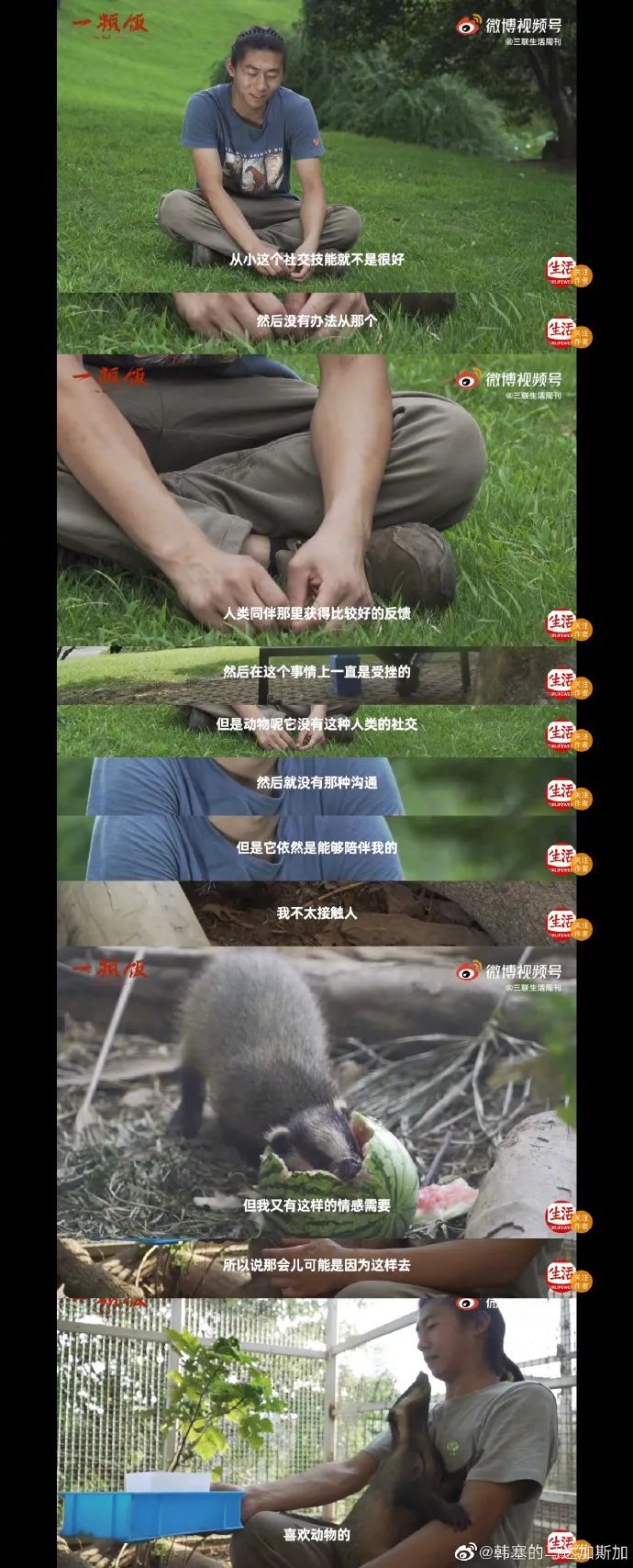 Word文档图片