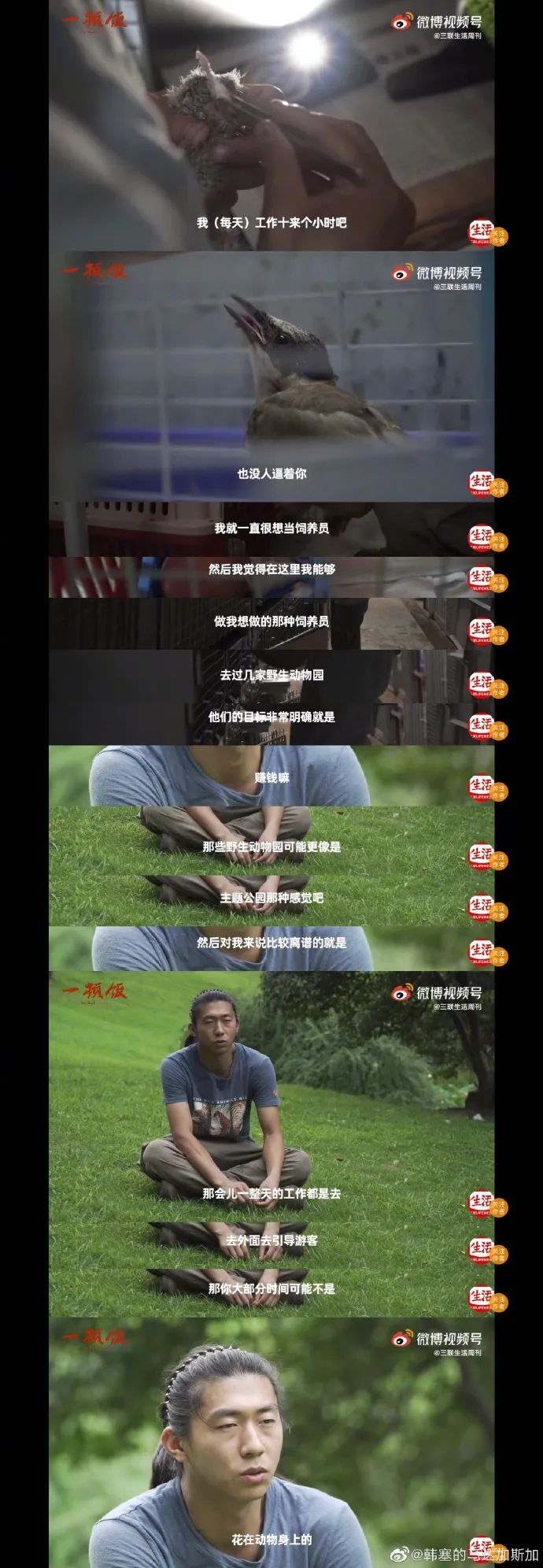 Word文档图片